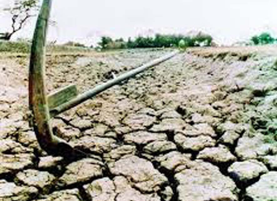 Farmer died here due to this reason in Jalore