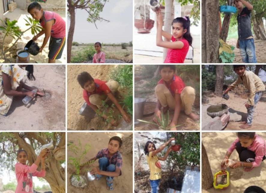 The children of this school in Jalore took this unique initiative for environmental protection ...